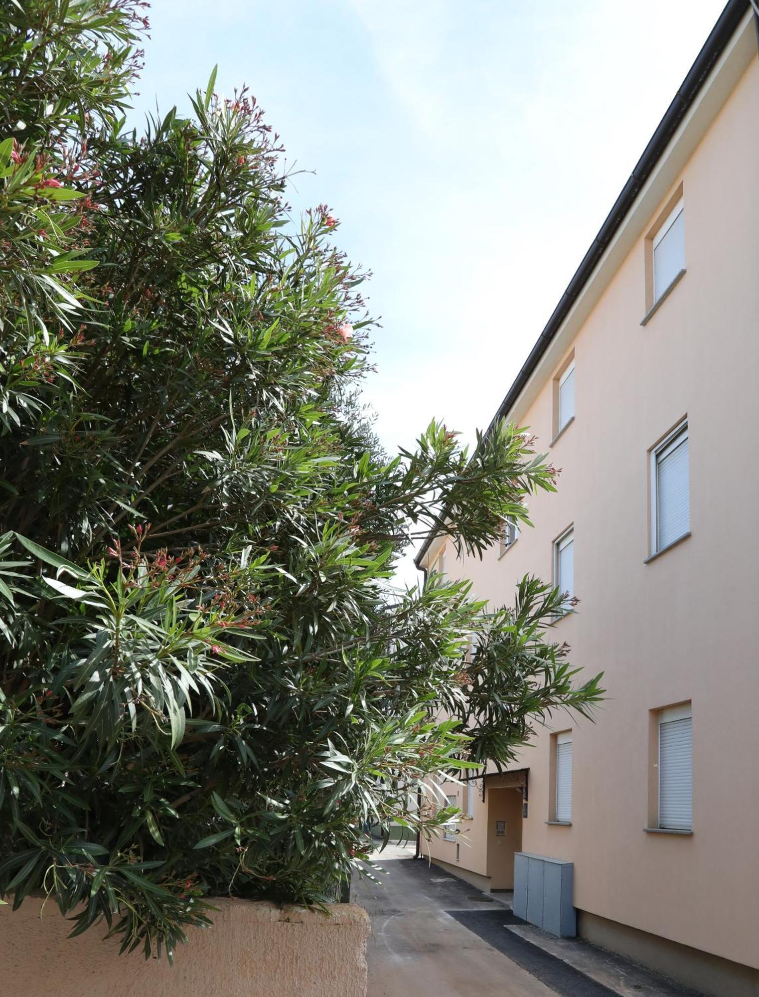 Apartment Loly Medulin Exterior foto
